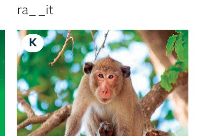 monkey