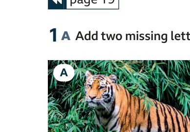 tiger